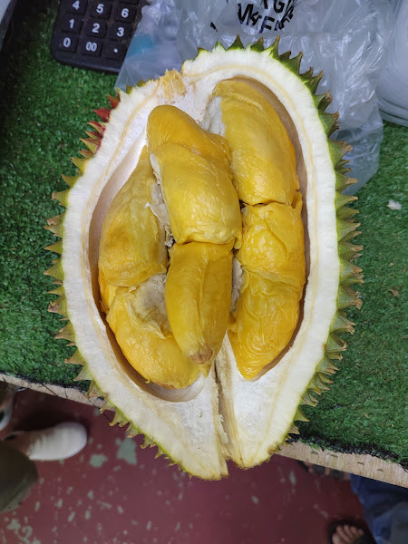 Durio Taste