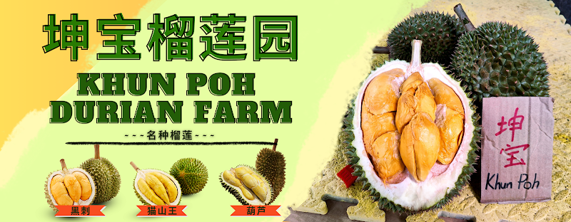 Khun Poh Durian Farm 坤宝榴莲园