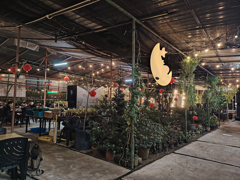 Chinchilla Mookata Machang Bubok