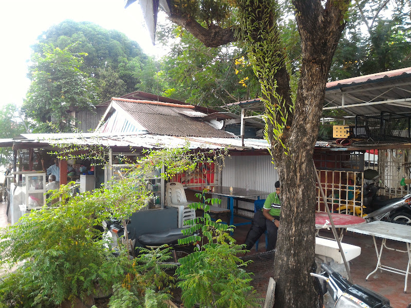 Gallery Photo 1