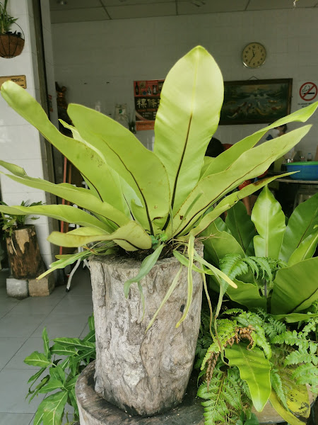 Gallery Photo 2