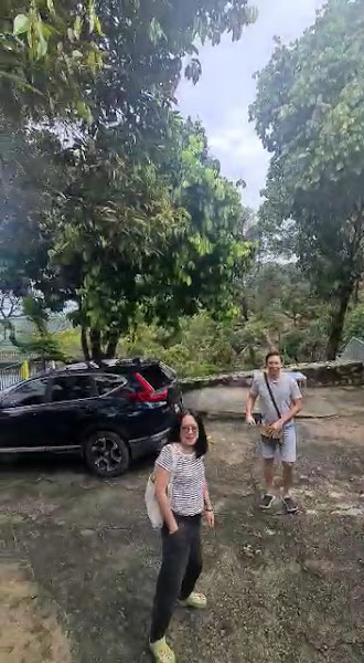 Durian farm