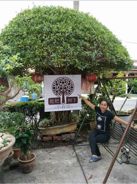 pipa tree house