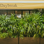 Urban Daybreak