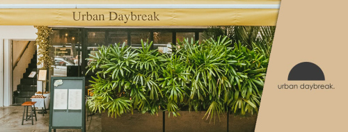 Urban Daybreak